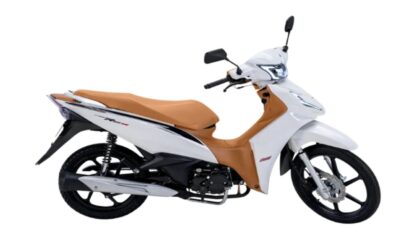MOTOCICLETA SHINERAY RIO 125 EFI